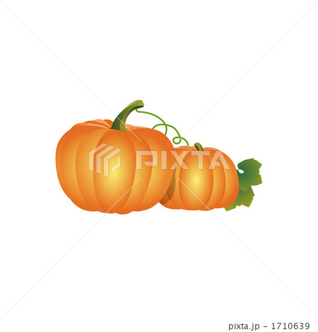 オレンジ色のかぼちゃのイラストのイラスト素材