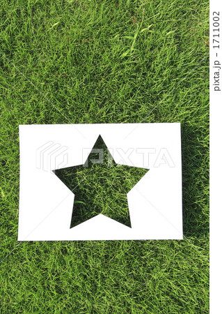芝生とスターマーク５ 1711002