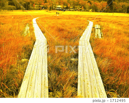 秋の尾瀬, 1712495