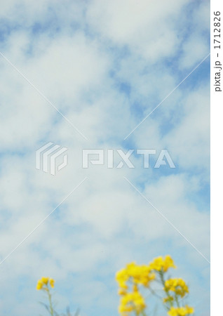 なのはなと空 1712826