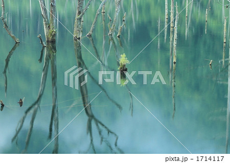 滝越の自然湖 滝越の自然湖 1714117