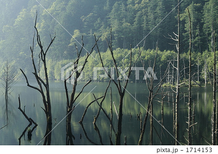 滝越の自然湖 滝越の自然湖 1714153