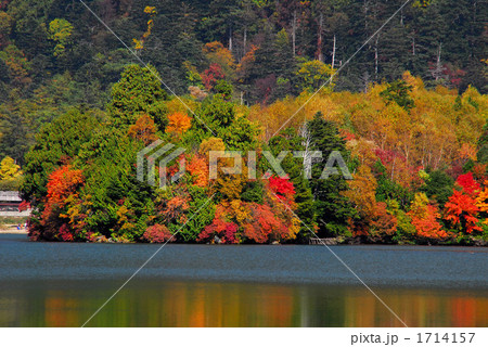 紅葉の湯の湖兎島 紅葉の湯の湖兎島 1714157