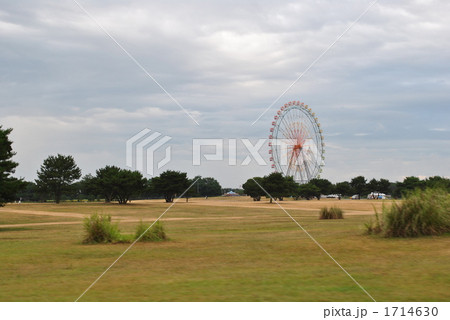 国営ひたち海浜公園の観覧車 1714630