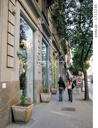 パレルモの街中 1715236