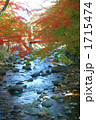 修善寺川の秋 1715474