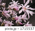 1715537