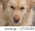 1715540