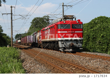 新緑とEF81 95 1717634