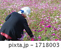1718003