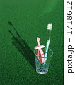 歯ブラシ 1718612