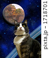 宇宙と猫 1718701
