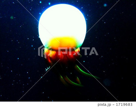 クラネタリウム 1719683