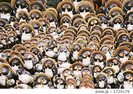 たぬき　集団 1720176