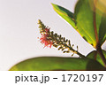 1720197