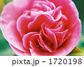 1720198
