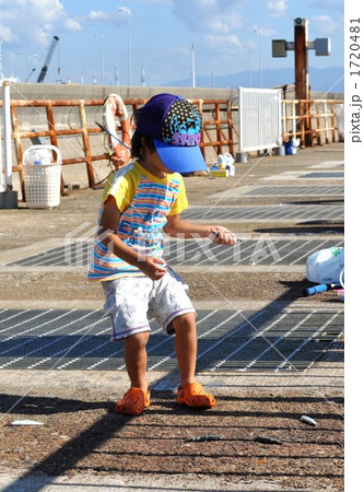 イワシ釣り 1720481