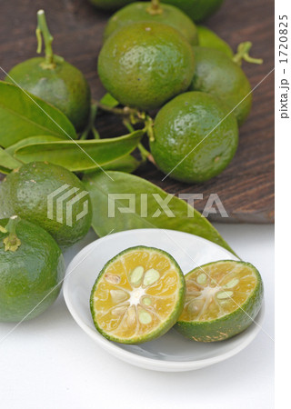 シークワーサー 1720825