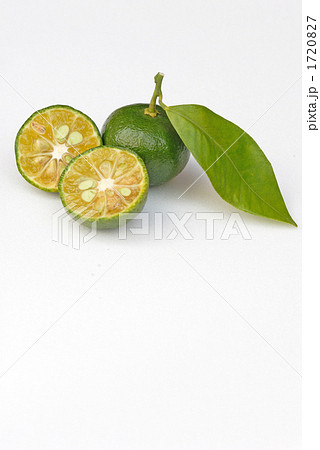 シークワーサー　シークヮーサー 1720827