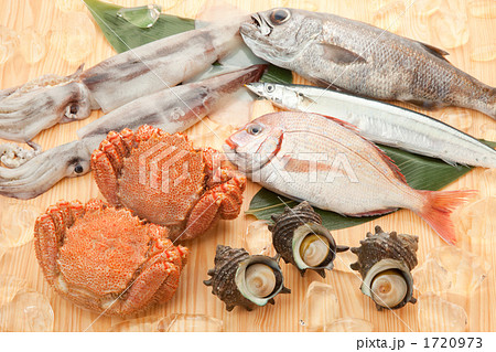 海産物集合 1720973