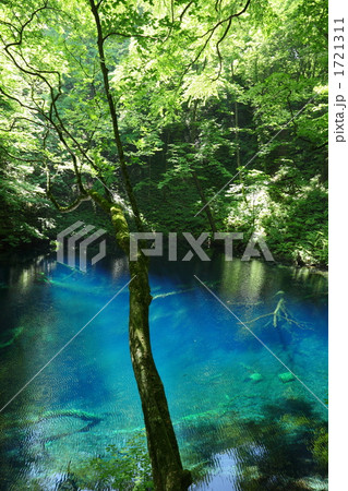 夏の青池 1721311