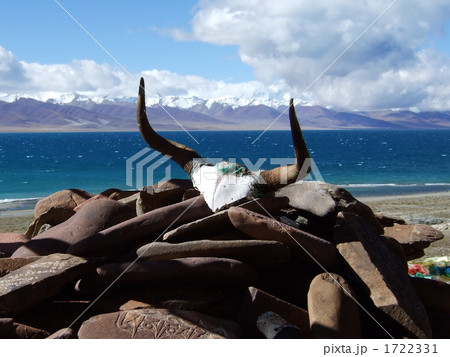 ヤクの頭骨と聖湖ナムツォ ヤクの頭骨と聖湖ナムツォ 1722331