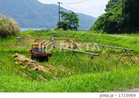 収穫後の田んぼ 1723069