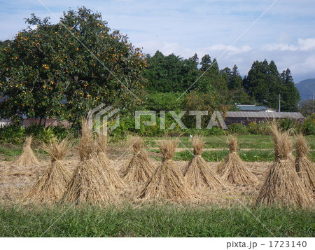 田舎の秋 1723140
