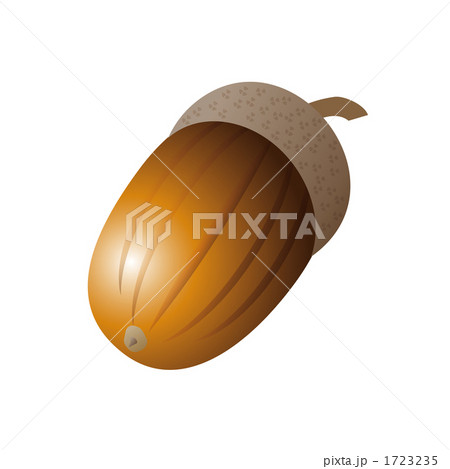 どんぐりのイラストのイラスト素材