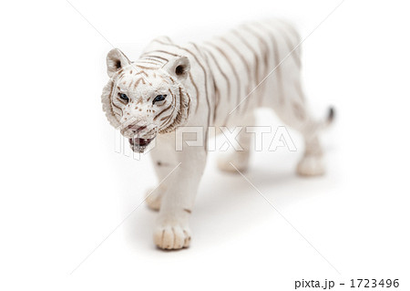 ホワイトタイガー 1723496