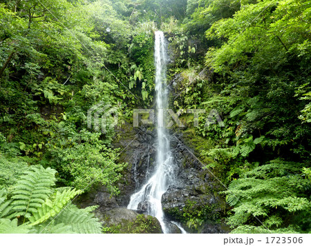 加計呂麻島の嘉入の滝 1723506
