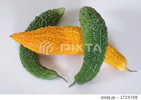 黄色に熟れたゴウヤ 1724709