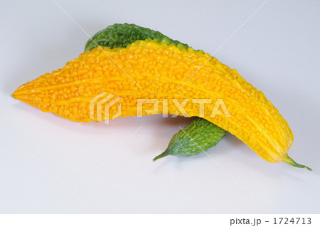 黄色に熟れたゴウヤ 1724713