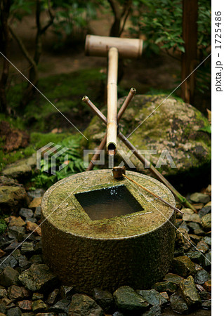 竜安寺手水蜂 1725486