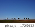 メルヘンの丘 1725932
