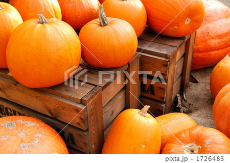 オレンジ色のカボチャ オレンジ色のカボチャ 1726483