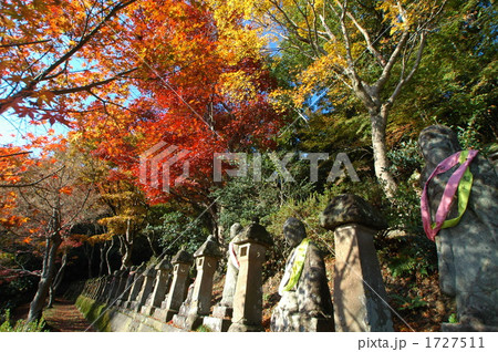 紅葉に包まれる五百羅漢 1727511