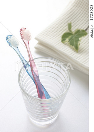 歯ブラシ ペア 1728028
