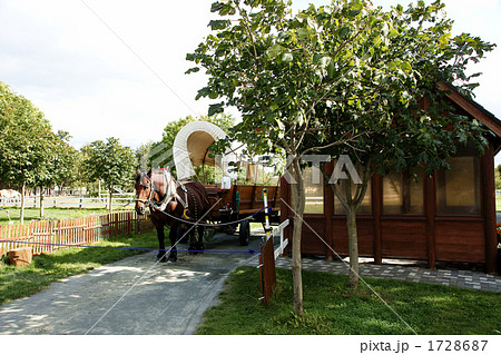 馬車のある風景 1728687