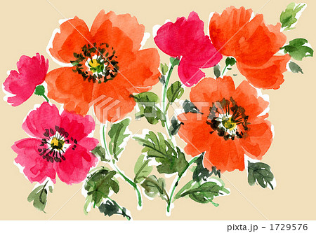 POPPY1093pix 1729576