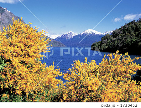 サンカルロスデバリローチェ 1730452