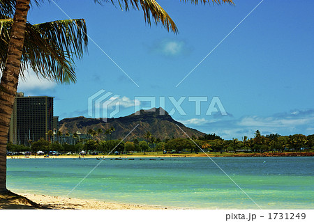 ダイヤモンドヘッド 1731249