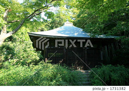 浄光明寺不動堂を訪れて 1731382