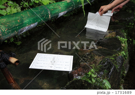 貴船神社の水占おみくじ 貴船神社の水占おみくじ 1731689