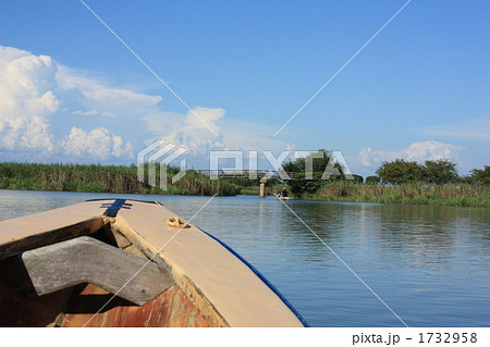 近江八幡水郷めぐり 1732958