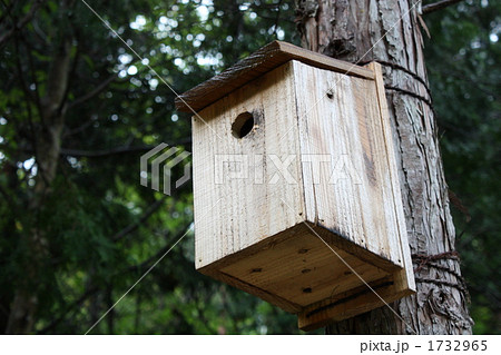 手作り巣箱 1732965