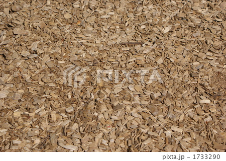 ベージュのウッドチップ 1733290