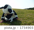 ひなたぼっこ 1734903