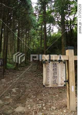箱根旧街道 1735220