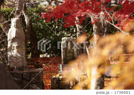 京都あだし野念仏寺 京都あだし野念仏寺 1736001